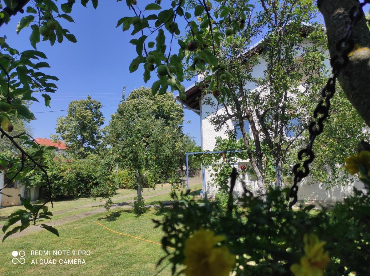 Home Of Nature - Kuca Prirode Odžak Exteriér fotografie
